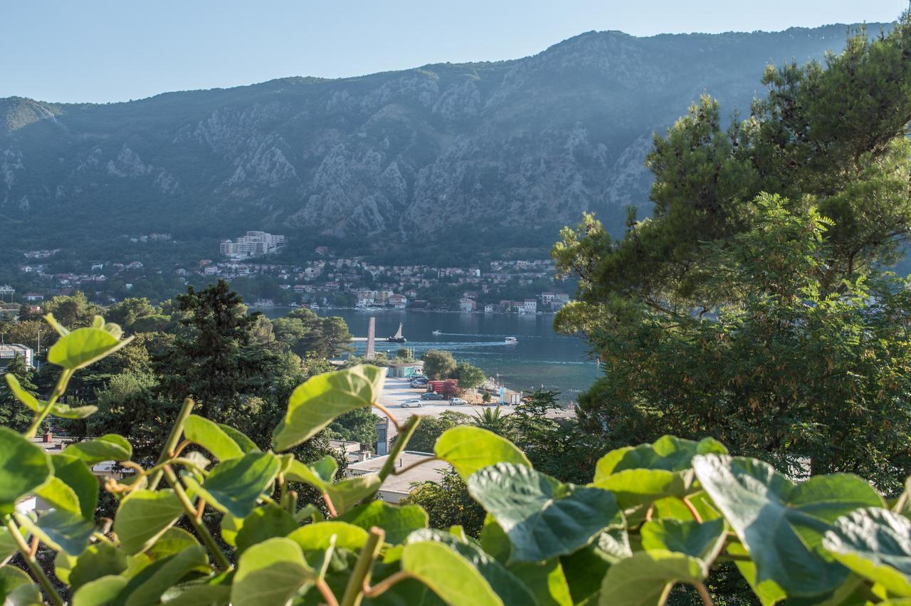 Apartment Kiwi Kotor Luaran gambar